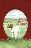 Health Food Emporium Country Tales 1 Paperback